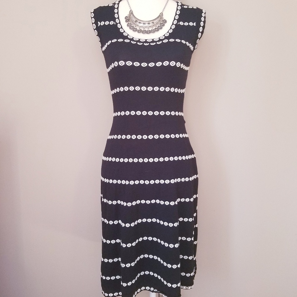 Dotted Sleeveless Embroidered Sweater Dress